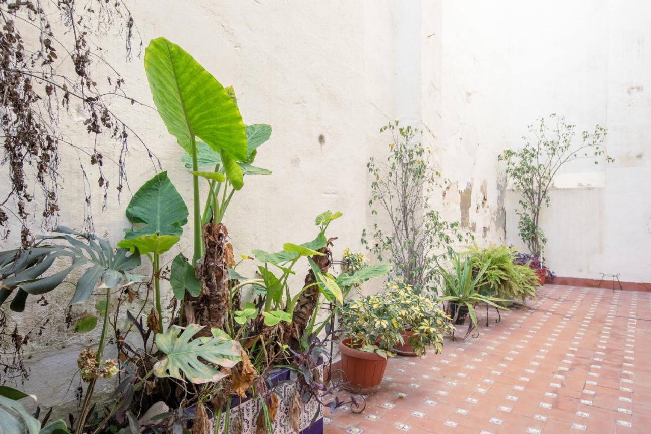San Pablo Premium Suites Sevilla Dış mekan fotoğraf